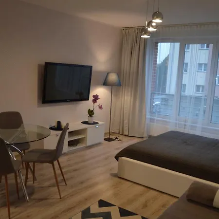 Tartaczna Apartament Possession Апартаменты